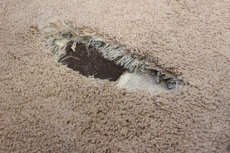 Philadelphia Carpet Repair & Cleaning image 3