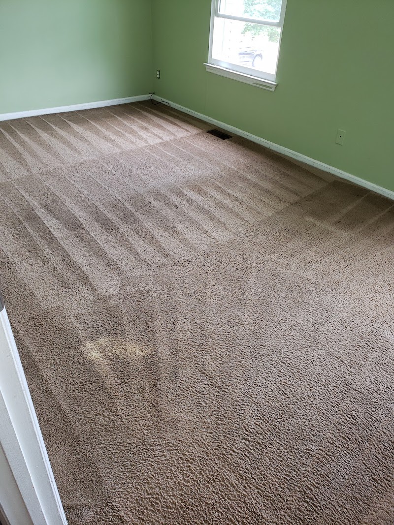 Barnes & Young Carpet Cleaning image 5