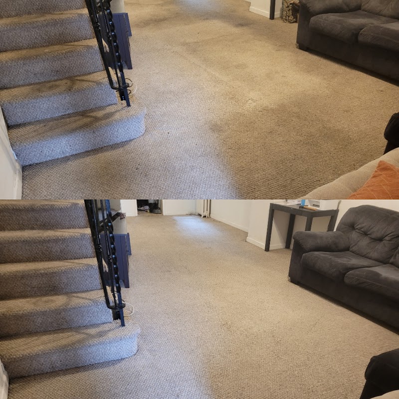 Barnes & Young Carpet Cleaning image 3