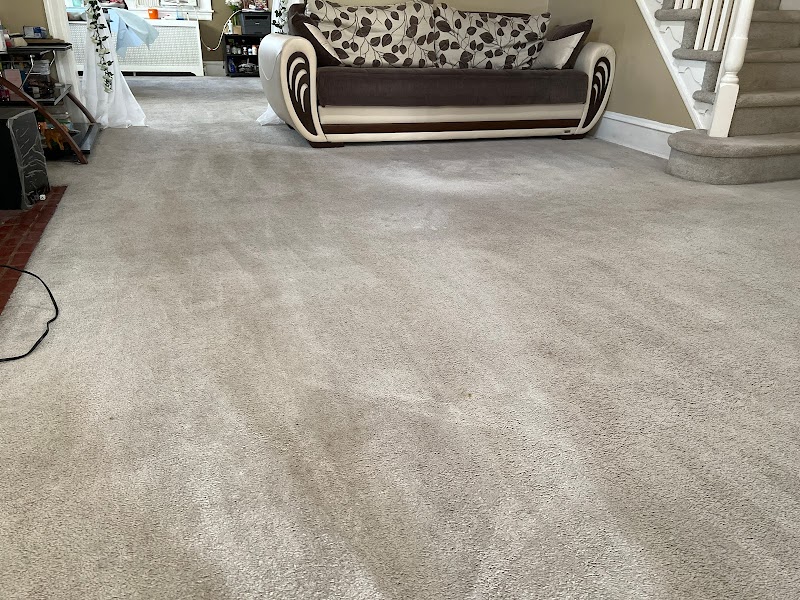 Neo Carpet Cleaning image 5